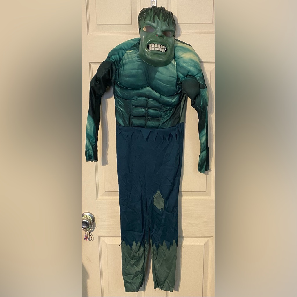 The Incredible Hulk Halloween Costume